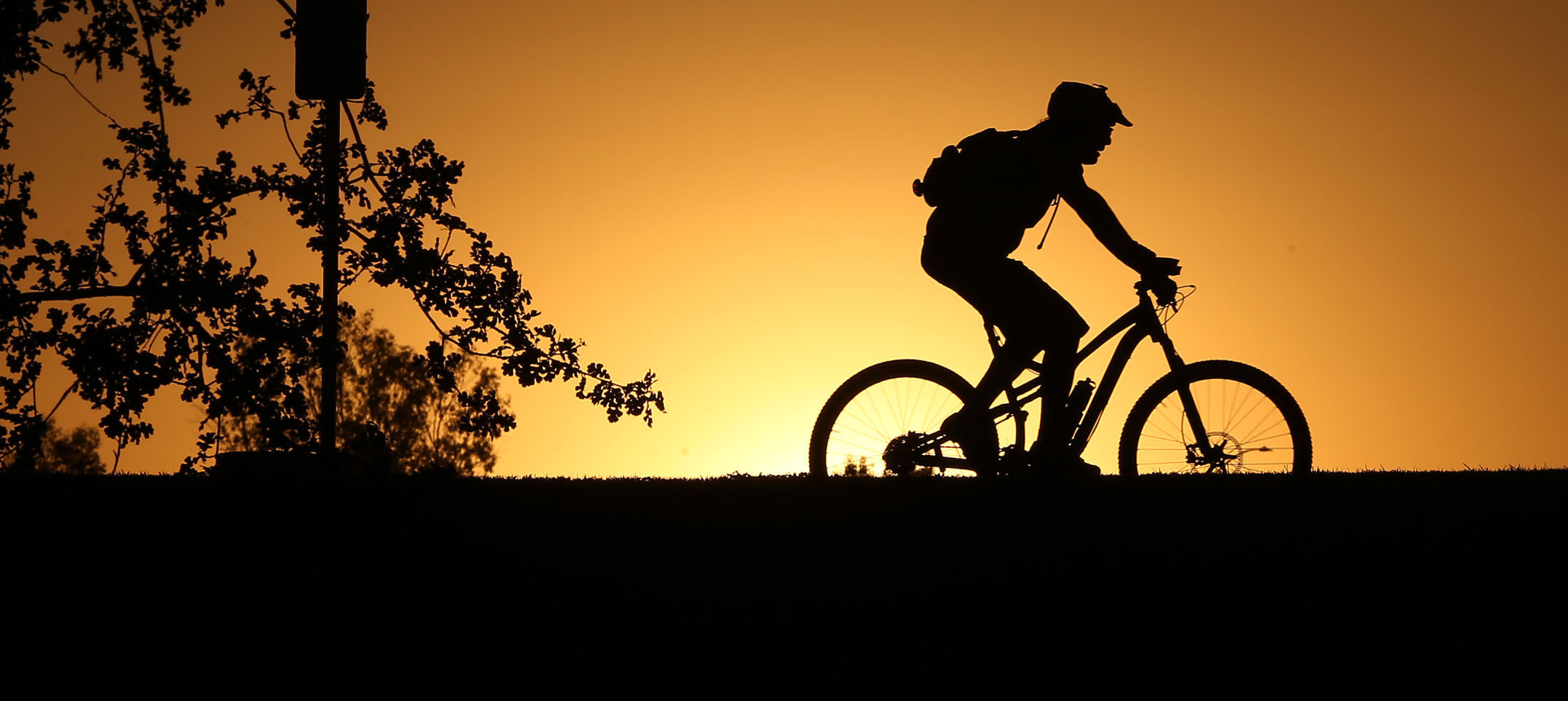Cyclist